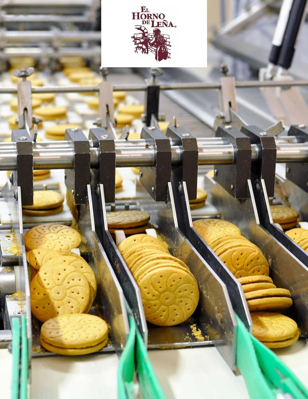Horno de Leña: Fabricante y Distribuidor Dietético