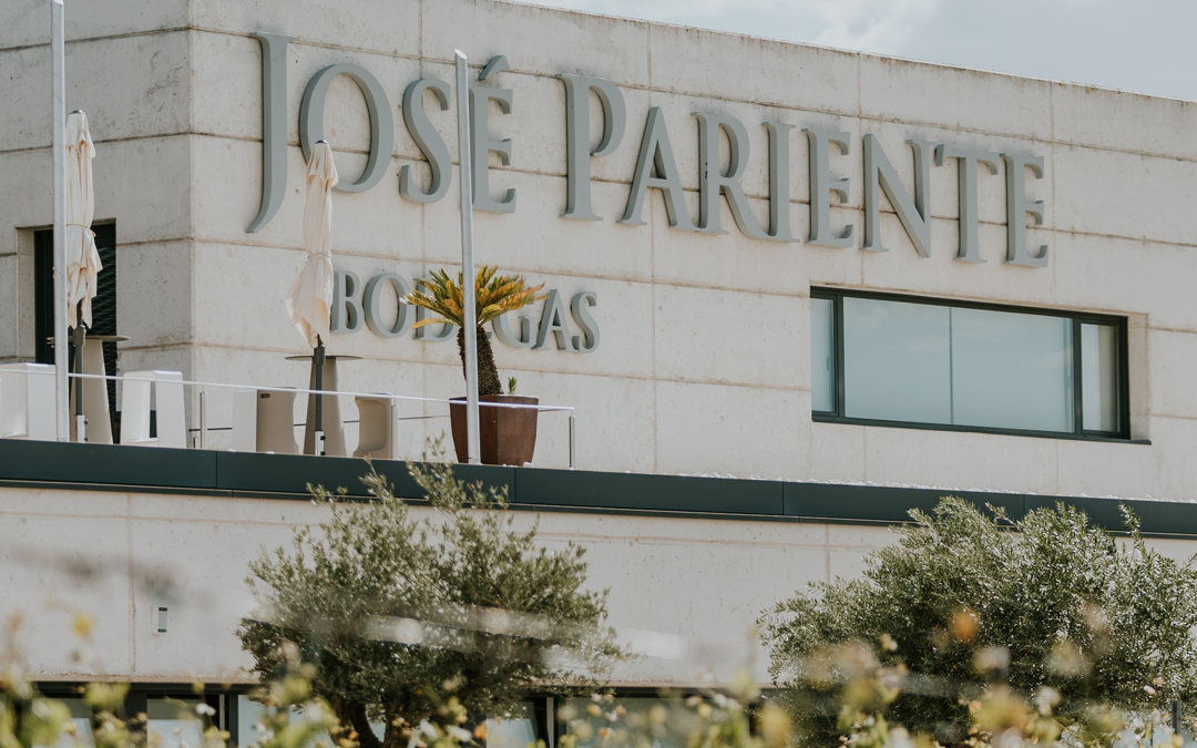 BODEGAS JOSE PARIENTE. RUEDA