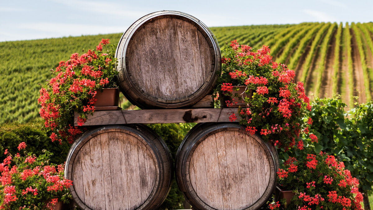 soluciones de tecnología logística para BODEGAS