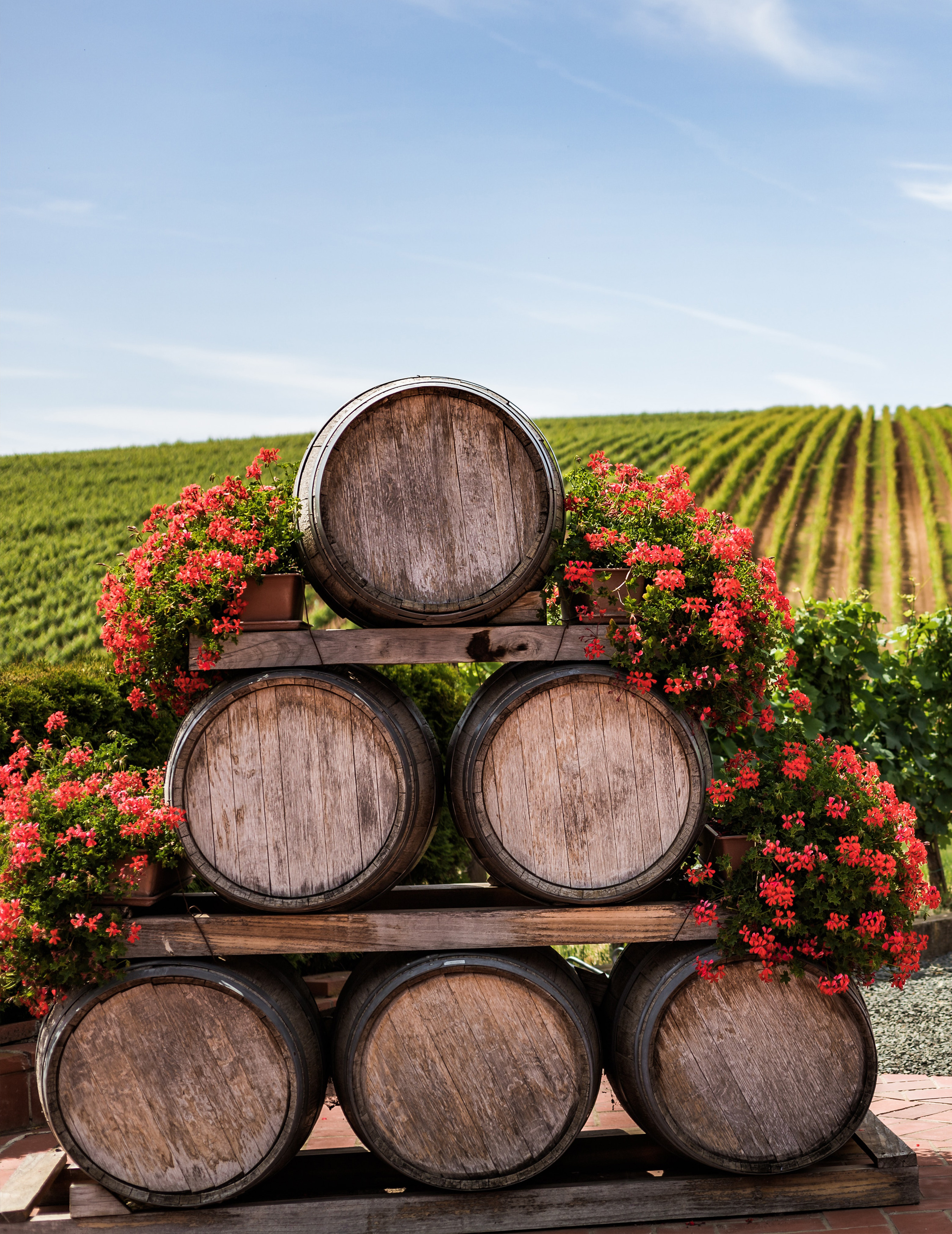 soluciones de tecnología logística para BODEGAS
